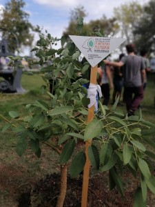 Plantamos Memoria