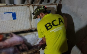 Golpe a la caza furtiva en el Delta: secuestraron 700 kilos de carne de animales silvestres