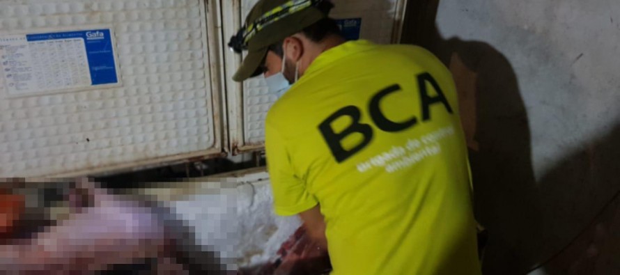 Golpe a la caza furtiva en el Delta: secuestraron 700 kilos de carne de animales silvestres