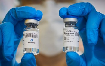 Publican en una revista de The Lancet el estudio sobre suero equino contra el coronavirus