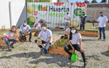Huerta en Casa: tercera edición del programa por el que se entregan semillas de temporada