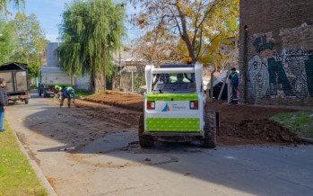 Operativo de limpieza y ordenamiento en el barrio Alsina