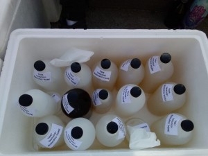 Muestras del Rio de la PLata