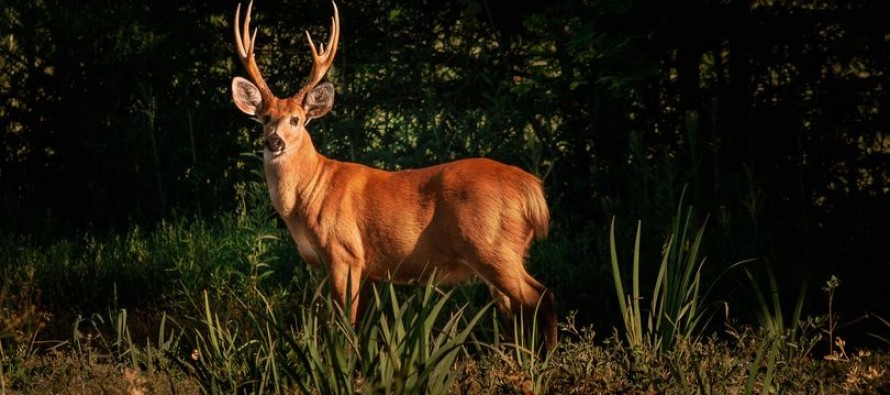 Proyecto Pantano celebra sus primeros diez años de vida