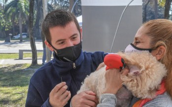 El operativo de zoonosis visitará mañana el barrio San Martin