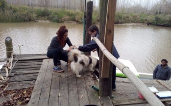 Ante un caso de rabia en el Delta, el Municipio realizó un operativo de vacunación