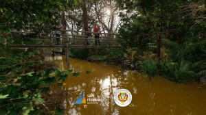 proyecto UNLu