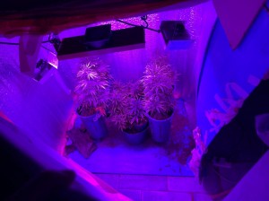 WhatsApp Image 2021-06-04 at 08.42.45