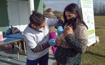 Operativo de salud y zoonosis en el Delta