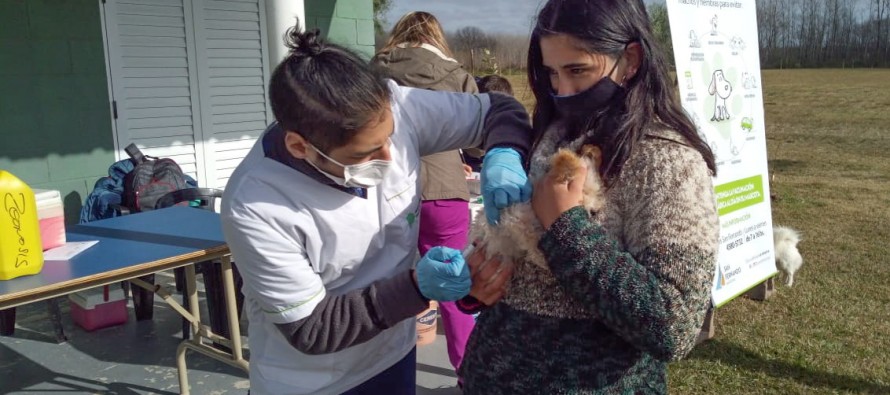 Operativo de salud y zoonosis en el Delta