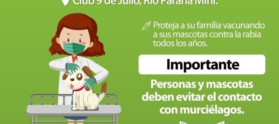 Operativo de vacunación antirrábica en el Delta