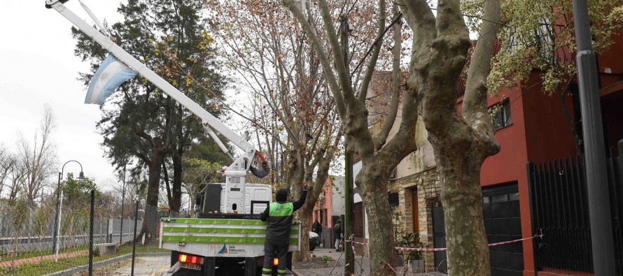 Continúa el Plan de Poda 2021 en nuestra ciudad