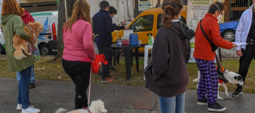 Operativos de zoonosis durante el mes de agosto