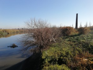 Chimenea Bancalari (2021) Ph Sabrina García
