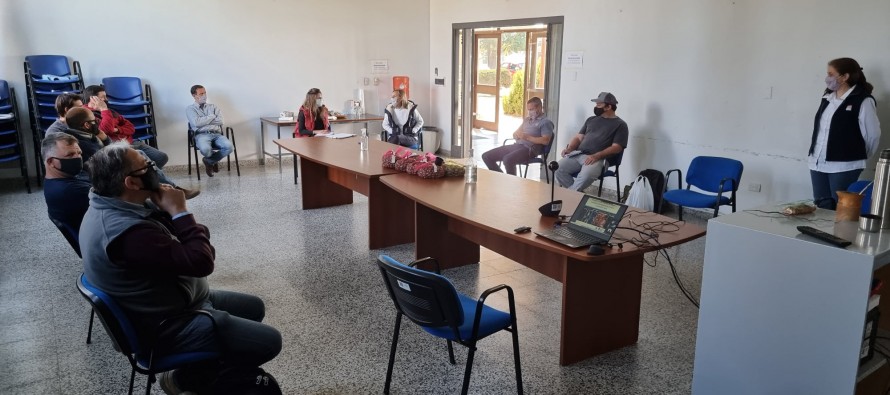 Plantas de pecan con origen conocido y trazabilidad