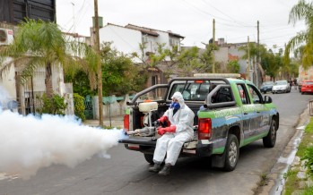 La Provincia estableció pautas de acción frente al aumento de mosquitos