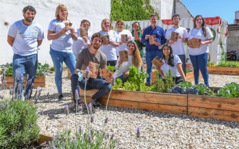 ¿Cómo obtener las semillas para cultivar en casa?