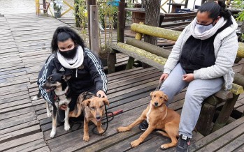 Nuevo operativo de Zoonosis en el Delta