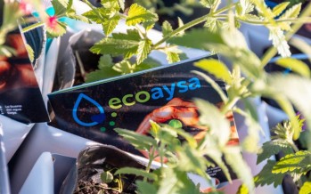 Lanzaron EcoAySA: un programa de beneficios para cuidar el ambiente