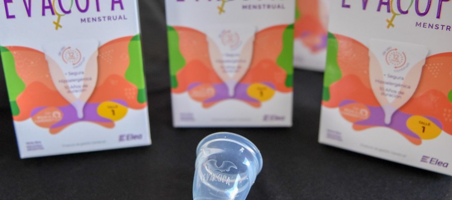 Capacitación con Eco-Vecinas sobre la copa menstrual