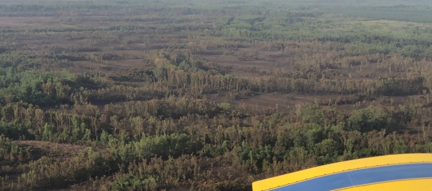 El foco de incendio en el Delta está controlado