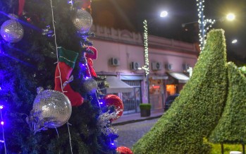 Cómo será el funcionamiento de los servicios municipales durante las fiestas
