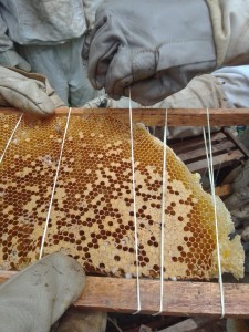 269444461_4838225509594751_100258139379344684_n