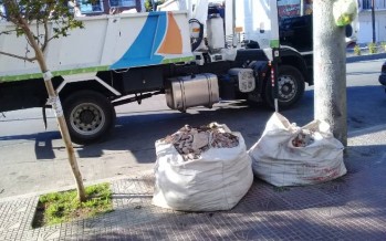 Durante el feriado de hoy se solicita no sacar montículos a la calle