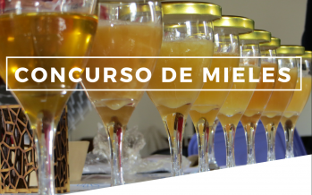 Concurso: Mieles del Delta y franja costera 2021-2022