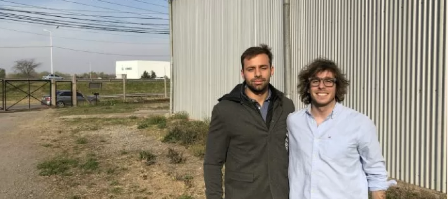 Usan moscas para transformar desechos en alimento balanceado