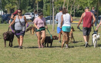 Taller gratuito de Adiestramiento Canino y Tenencia Responsable