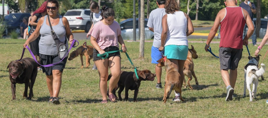 Taller gratuito de Adiestramiento Canino y Tenencia Responsable