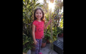 Una niña de 6 años está internada desde hace un mes y medio en el Hospital Militar sin diagnóstico