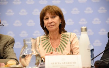 Alicia Aparicio: «La grieta no ayuda a resolver los problemas de la sociedad»