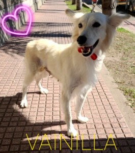 WhatsApp Image 2022-03-16 at 21.40.54