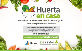 Nueva temporada de semillas de ‘Huerta en casa’