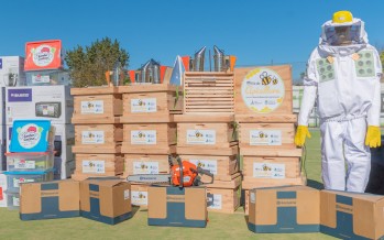 Entrega de kits de apicultura y cocina a emprendedores