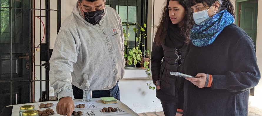 Productores de nuez pecán del Delta participaron de una capacitación del INTA