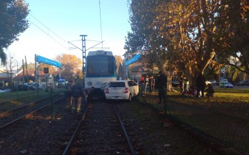 Un auto fue arrollado por el Tren de la Costa