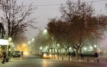 “Alerta violeta” por niebla: evitar la circulación en calles y la navegación