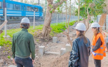 Avanza la construcción del paseo aeróbico en la calle Arias