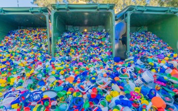 Reciclaron tapitas plásticas y papel para ayudar a la Fundación Garrahan