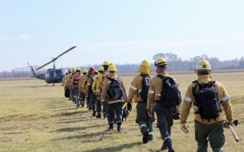 El fuego llegó al Delta de Tigre y San Fernando