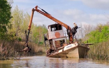 Tareas de limpieza para mejorar la navegación en el Delta
