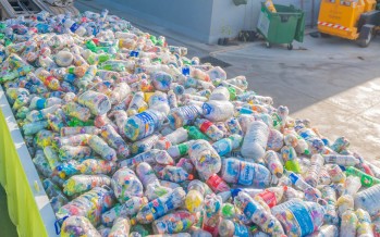 EcoSanFer: fueron reciclados 6.000 kilos de ‘Botellas de Amor’ en 3 meses