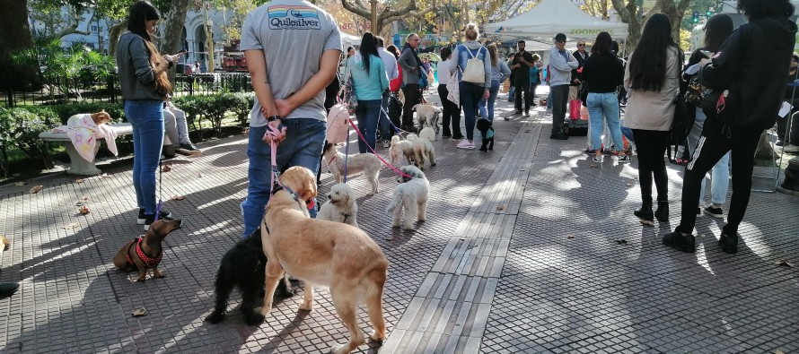 Días, horarios y lugares de los próximos operativos de Zoonosis