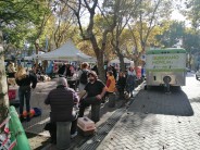 Zoonosis en los barrios: operativo gratuito de castración y vacunación en Villa Jardín