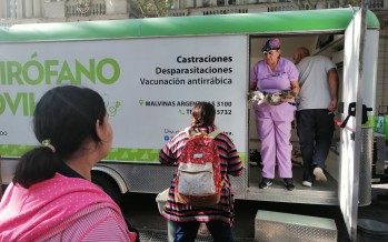 Dónde estará el quirófano móvil de Zoonosis esta semana