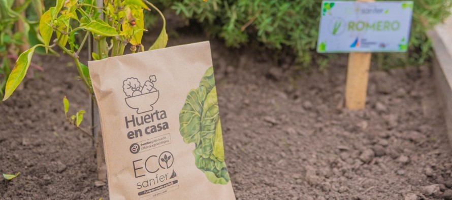 Nueva temporada de entrega de semillas “Huerta en Casa”