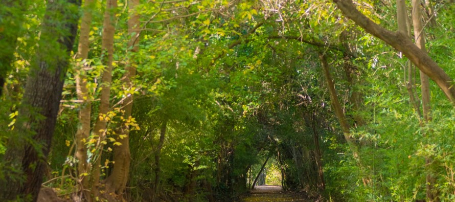 Avanza la adecuación de la Reserva Ecológica y la construcción de la pista de atletismo